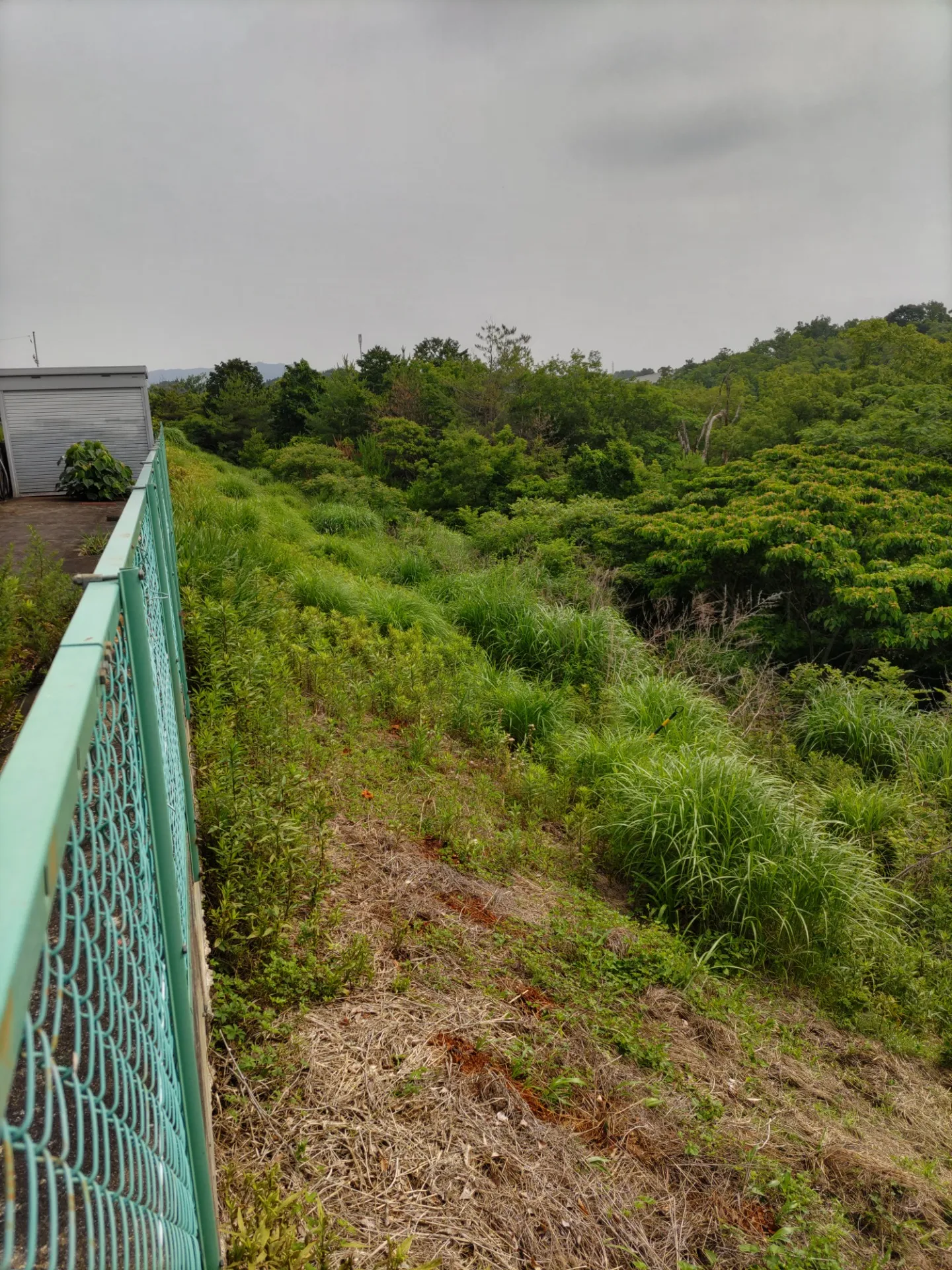 三重県まで、出張草刈りに行ってきました